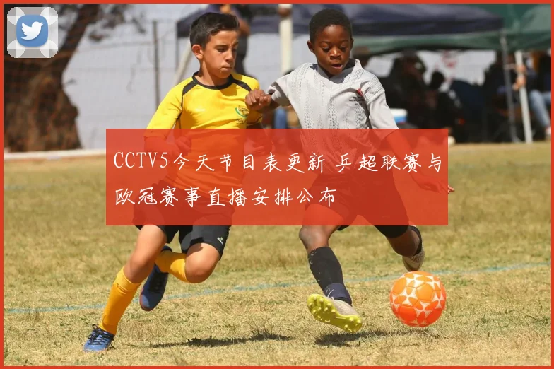 CCTV5今天节目表更新 乒超联赛与欧冠赛事直播安排公布