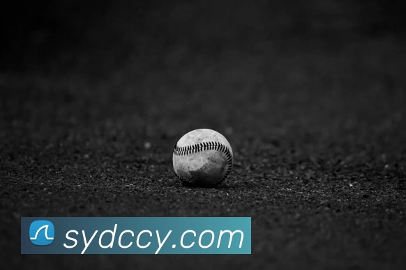 世界杯开户平台服务体系